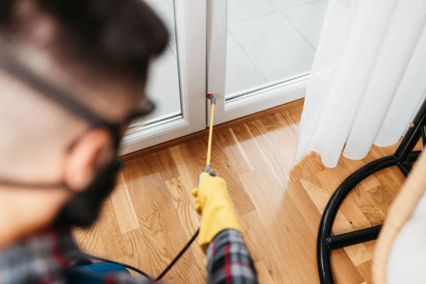 indoor pest control